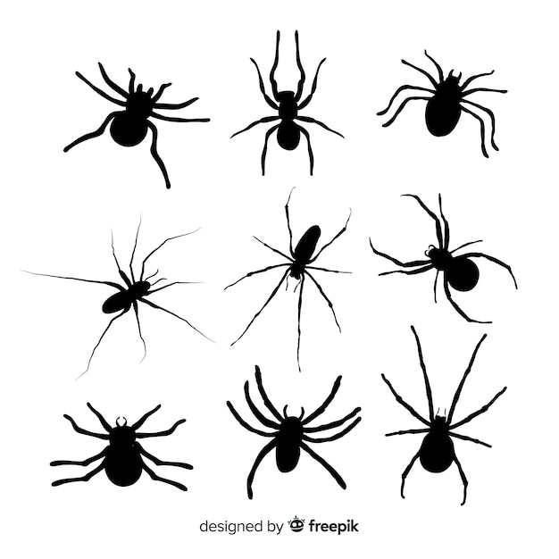 Spider silhouette collection