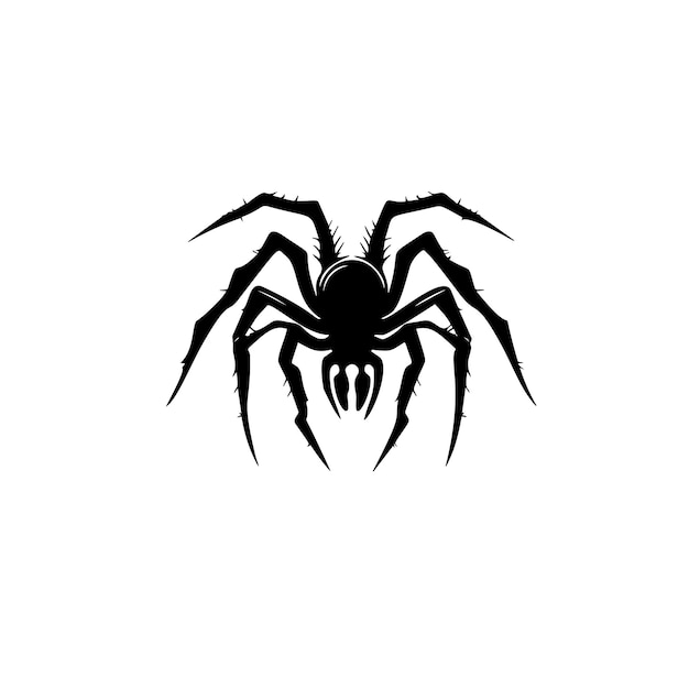 Spider silhouette isolated on white background scary with long paws