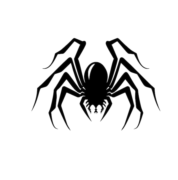 흰색 배경 무서운 긴 발에 고립 된 거미 실루엣