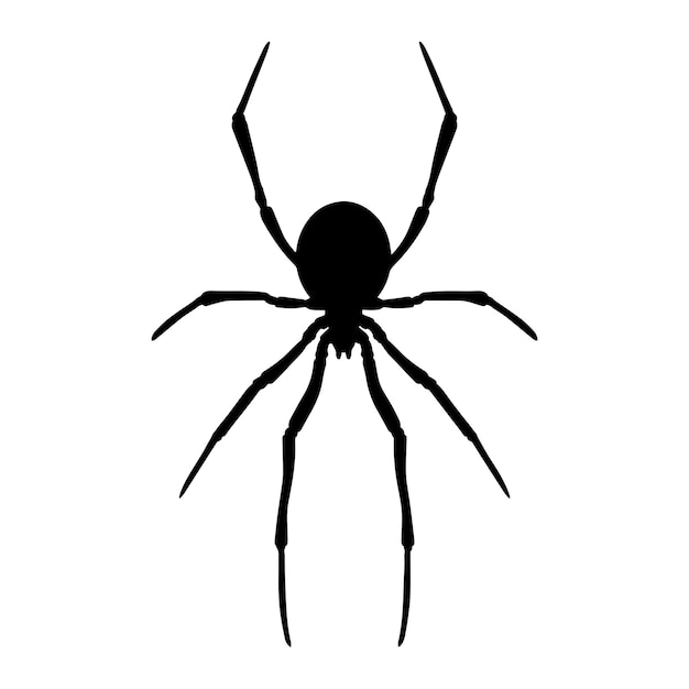 spider silhouette vector black color on white background