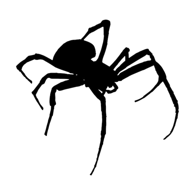 spider silhouette vector black color on white background