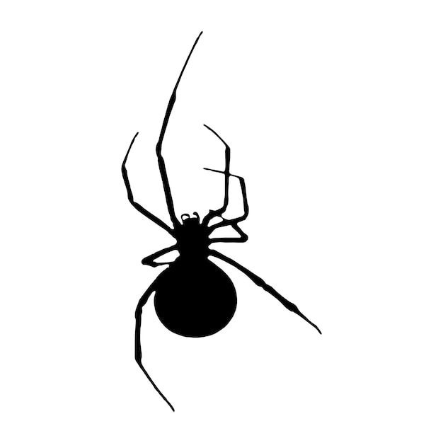 spider silhouette vector black color on white background