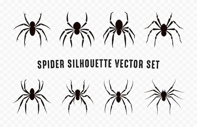 Vector spider silhouettes vector set spiders black silhouette bundle