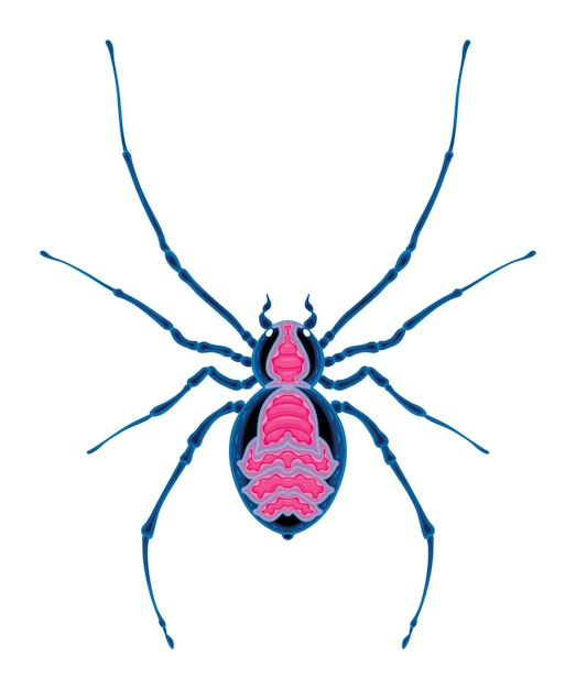 Vector spider top view vector isolated animal