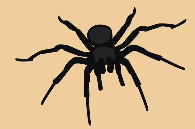 Vector spider vector illustration