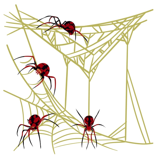 Vector spider web background for halloween greeting cards on a white background a black and red spider