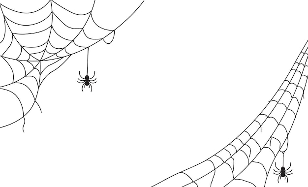 spider web background for hallowen design