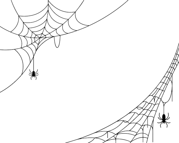 Vector spider web background