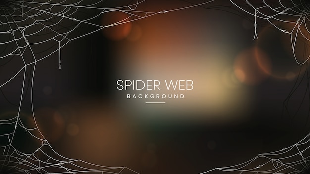 Vector spider web background