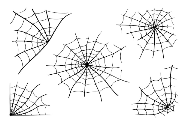 Spider web cobweb vector icon doodle