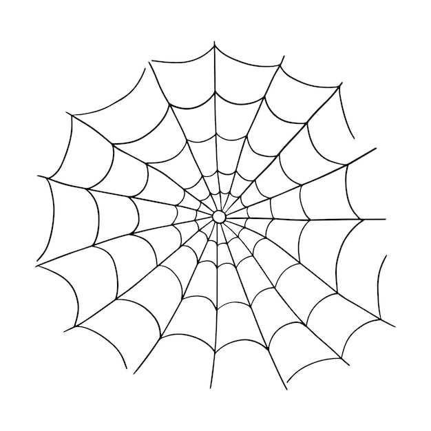 Spider web cobweb vector icon doodle