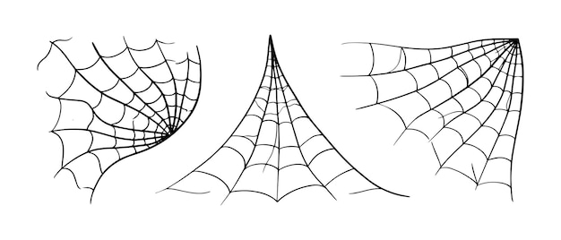 Spider web cobweb vector icon doodle