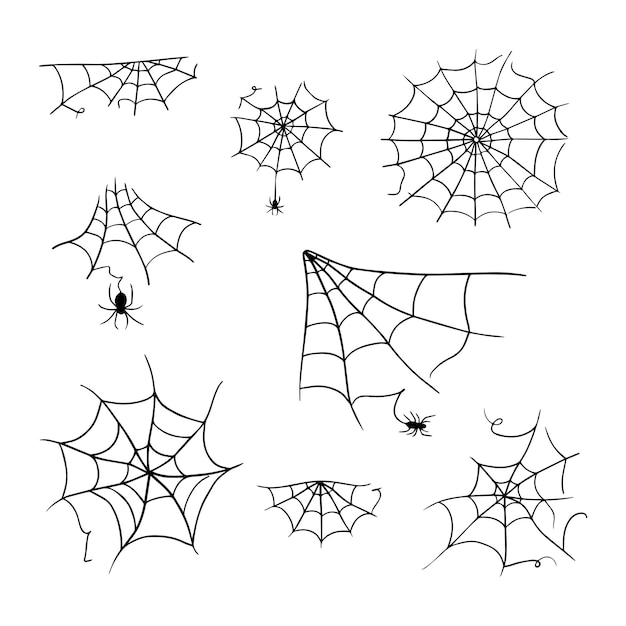 Spider web cobweb vector icon doodle