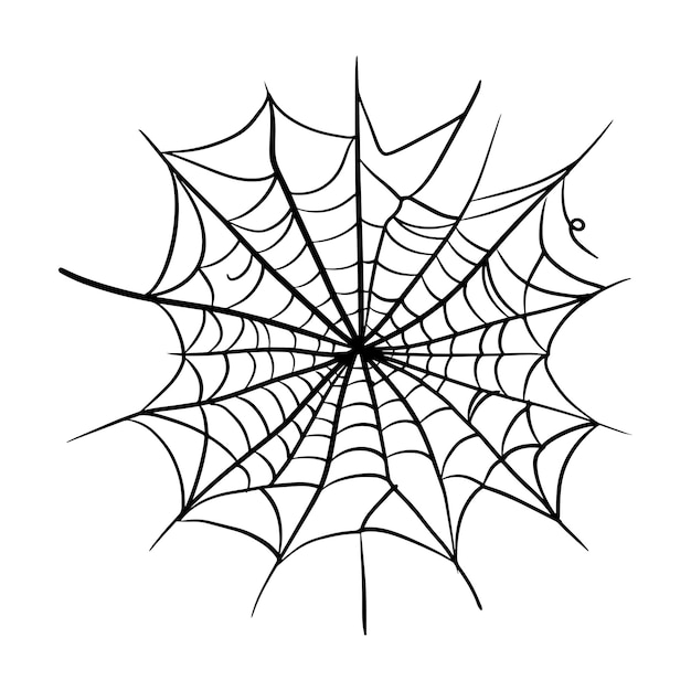 Spider web cobweb vector icon doodle