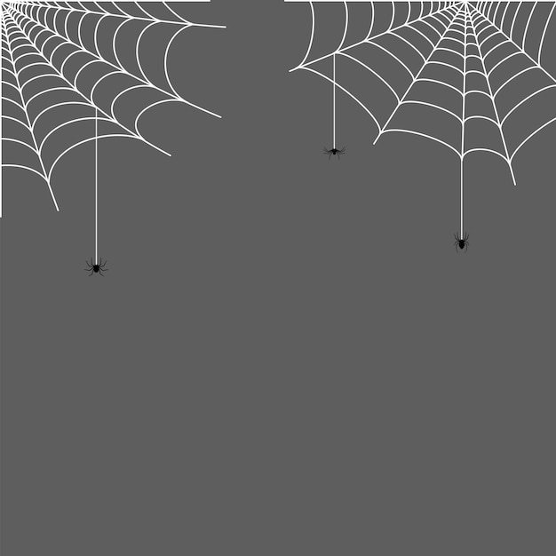 Vector spider web corner illustration. halloween decoration with cobweb. simple spiderweb vector