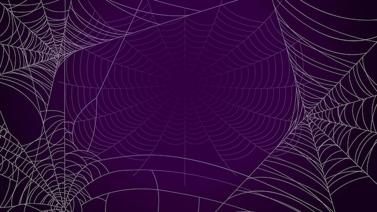 Vector spider web on dark background halloween design elements spooky scary horror decor vector