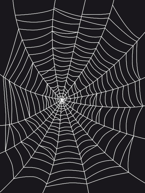 Spider web drawing on a black background