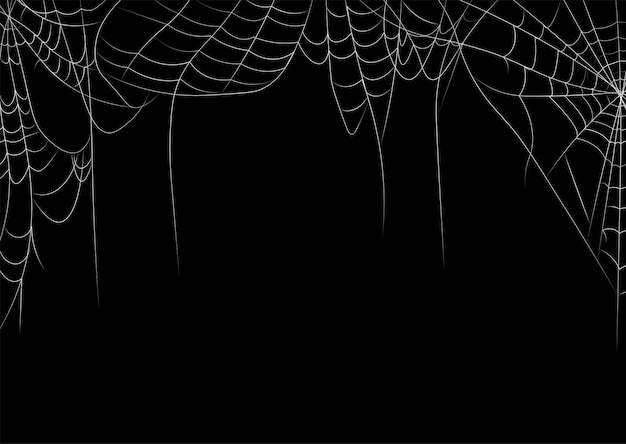 spider web element