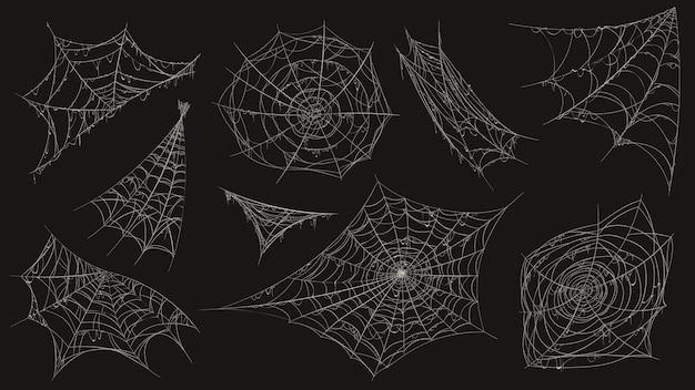 Spider web. Halloween cobweb spooky decoration. Corner with old dusty spiderweb hanging. Creepy decor spiders white sticky trap vector set. Halloween corner, spiderweb thread, sticky line