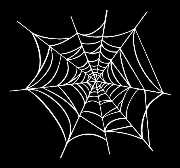 Vector spider web hand tekening illustratie