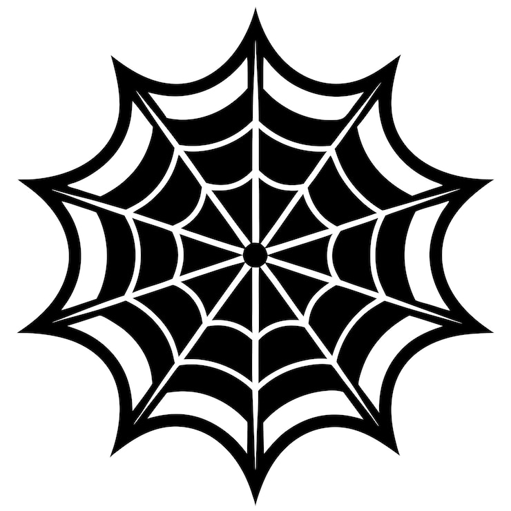 Vector spider web icon silhouette vector illustration