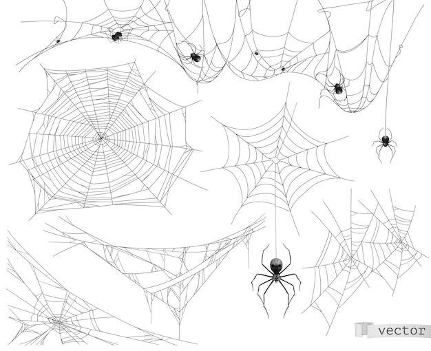 Spider web illustration set