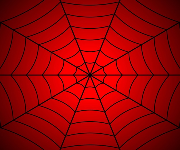 Vector spider web illustration vector cobweb template for your design