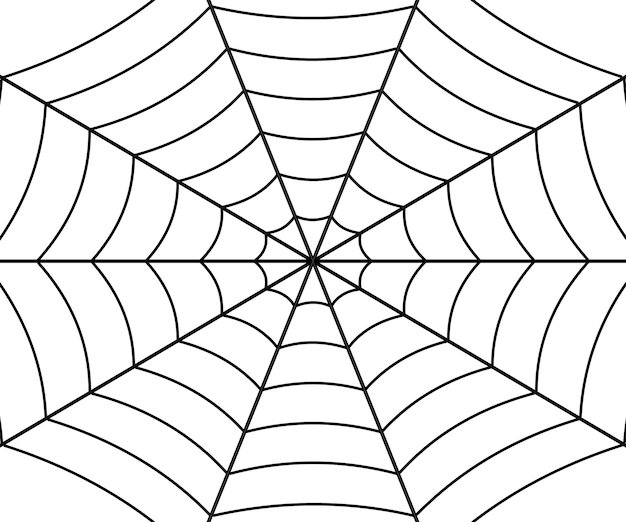 Spider web illustration