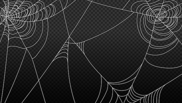 Vector spider web isolated on transparent background vector illustration