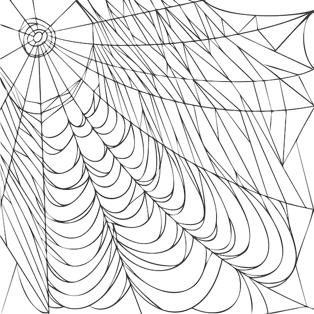 거미줄 흰색 배경에 고립 현실적인 손으로 그린 라인 스케치 할로윈 짜증 거미줄 개요 검은 벡터 일러스트 레이 션