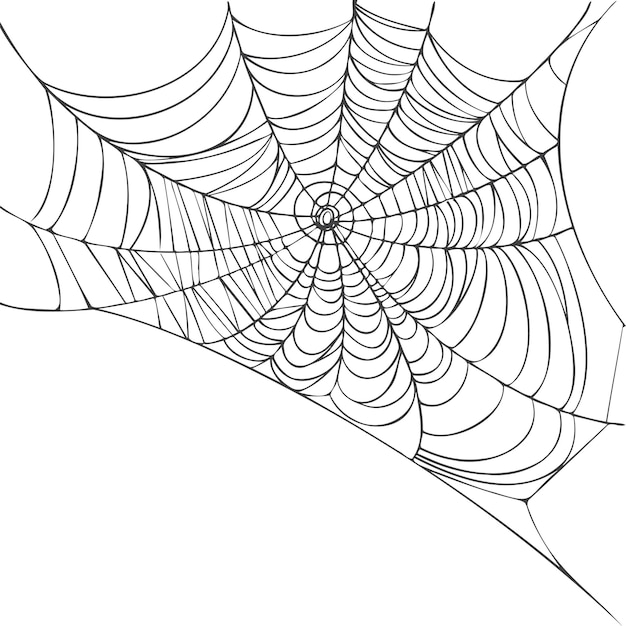 Ragnatela isolata su sfondo bianco schizzo realistico della linea disegnata a mano ragnatele spettrali di halloween contorno nero illustrazione vettoriale