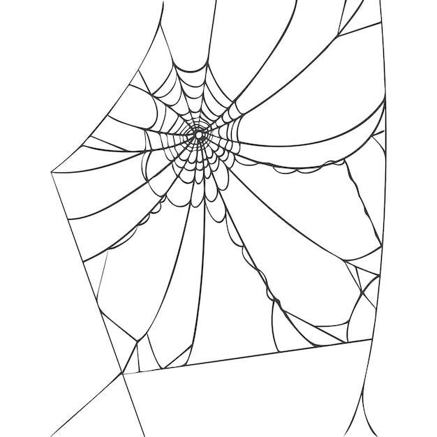 Spider web isolated on white background Realistic hand drawn line sketch Halloween spooky cobwebs Outline black vector illustration