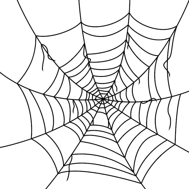 흰색 배경에 고립 된 거미줄