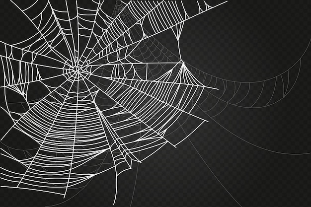 Spider web parts isolated on black background scary cobweb outline decor vector design elements for halloween horror ghost or monster party invitation and posters
