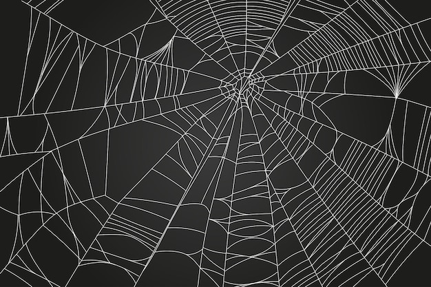 Spider web parts isolated on black background scary cobweb outline decor vector design elements for halloween horror ghost or monster party invitation and posters