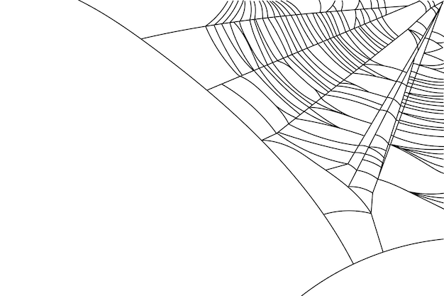 Части паутины изолированы на белом фоне Страшная паутина очертания декора Элементы векторного дизайна для призрака ужаса Хэллоуина или монстра приглашение на вечеринку и плакаты