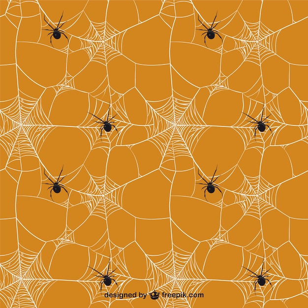 Vector spider web pattern