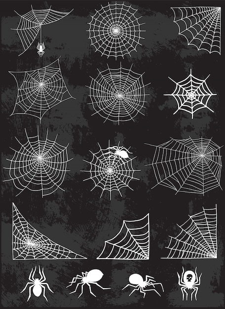 Vector spider web silhouette  set