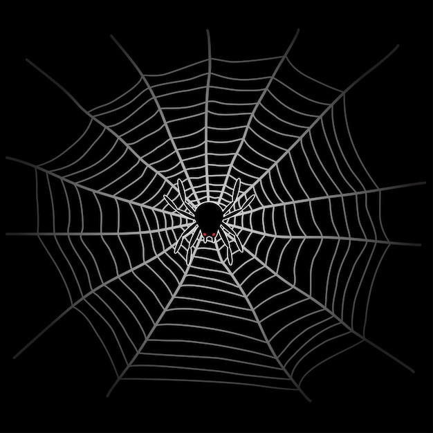 spider web and spider in the dark