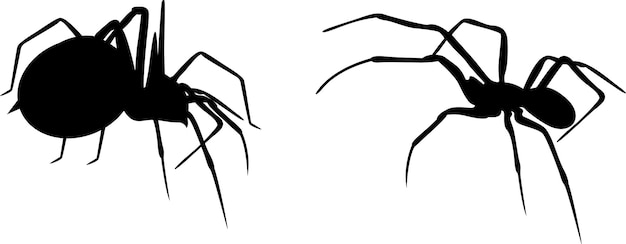 spider web svg set of black spider silhouette of black spider