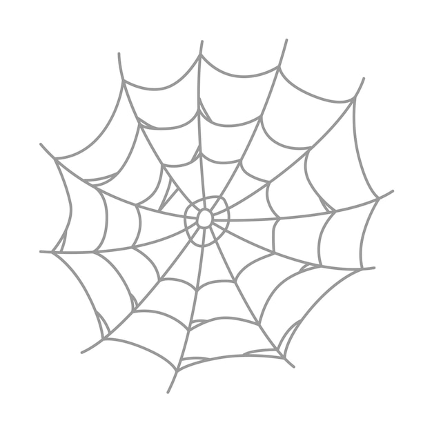 Spider web vector illustration