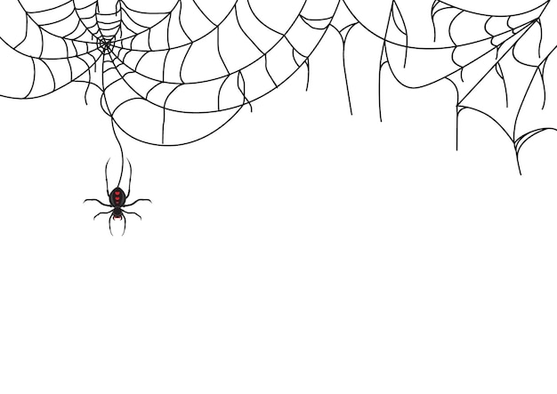 할로윈 디자인을위한 흰색 배경에 거미줄