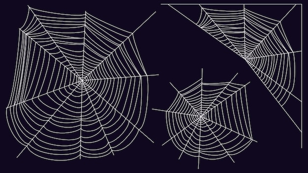 Spider web white mesh on a dark background vector