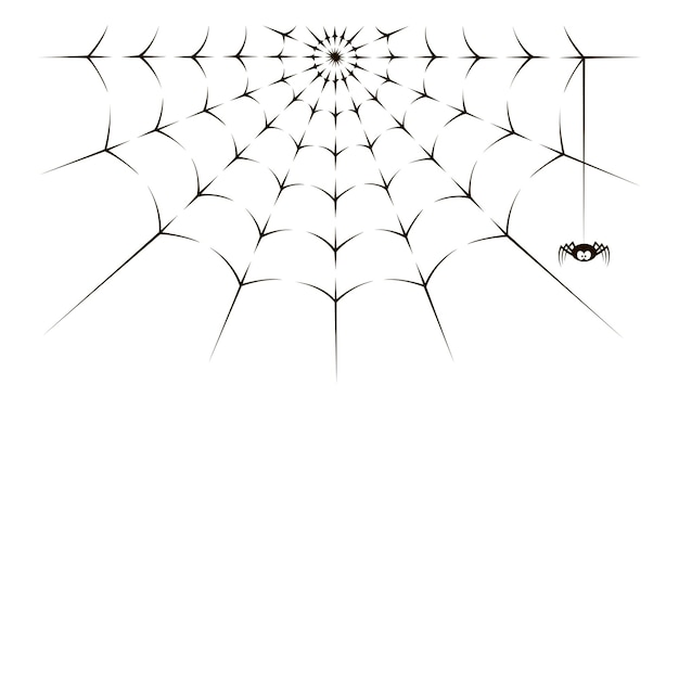 Vector spider and web