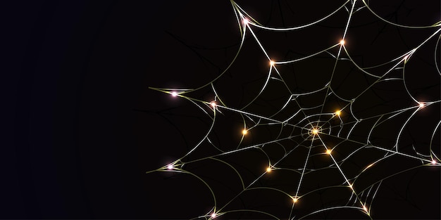 Vector spider webs background elegant gold can be used according to your needs