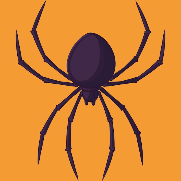 spider