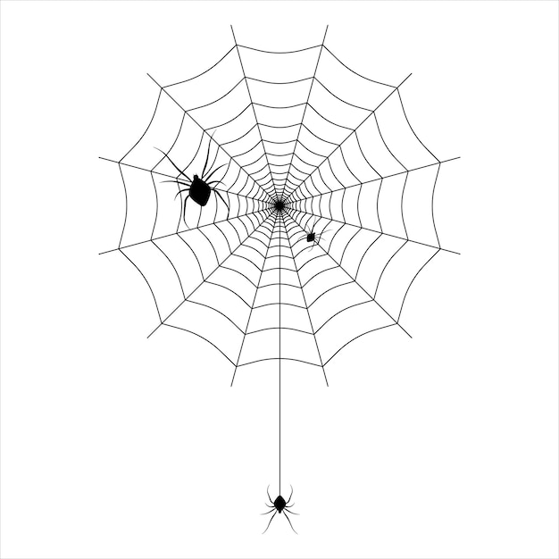 Spiders on the web Vector illustration