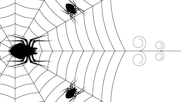 Spiders on Web with white Background. Halloween Background Design Element. Spooky, Scary Horror