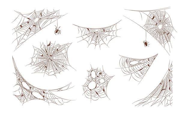 Spiders webs halloween vector clipart illustration