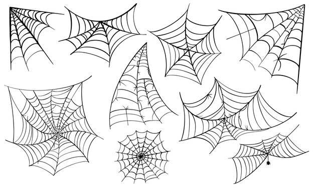 Spiderweb for Halloween design. Spider web elements,spooky, scary, horror halloween decor.